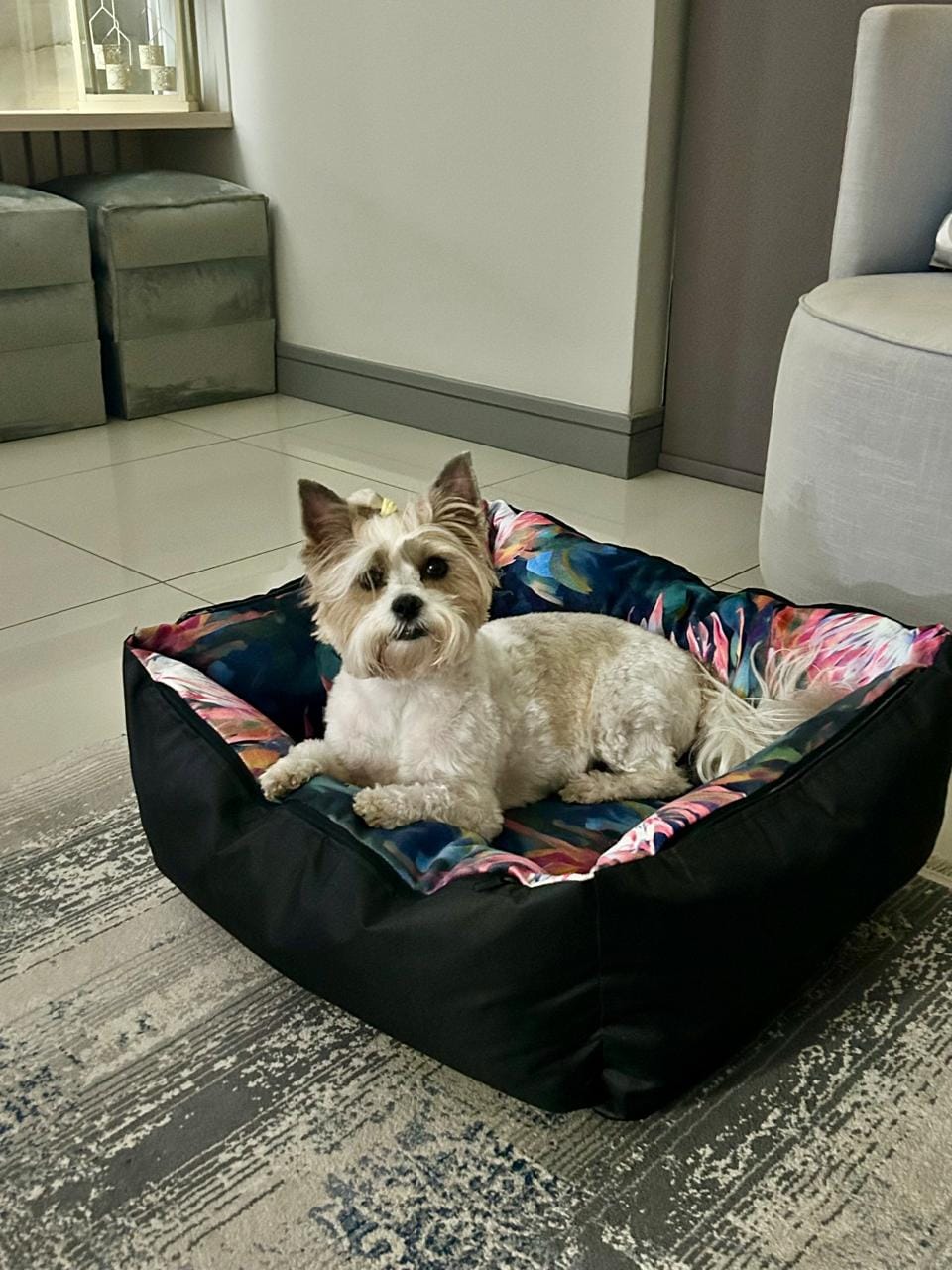 Small dog resting in a floral fabric pet bed