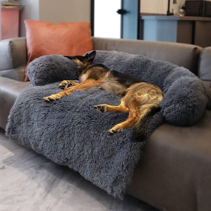 Soft grey comfort on the sofa.